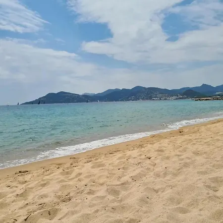 Apartment Tim - 2min De La Mer - Piscine - Terrasse - Vca Cannes
